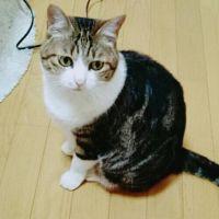 オキャーラ 会員画像