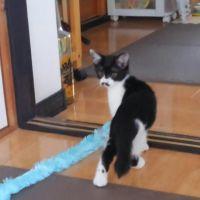 マフッと 会員画像