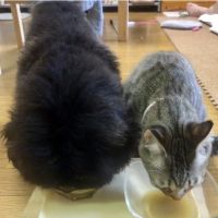 会員画像