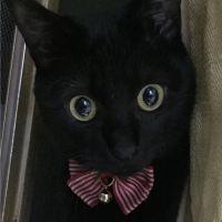 会員画像