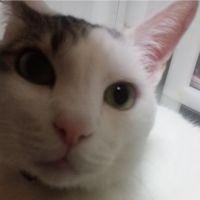 risuko 会員画像