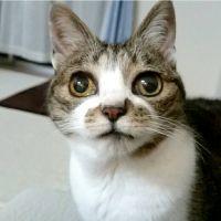 なっつなつさん