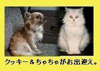 会員画像