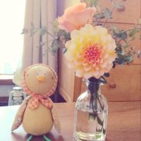チハヤ 会員画像