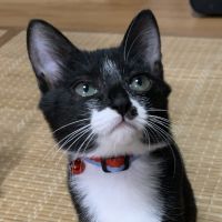 ミツ太郎 会員画像