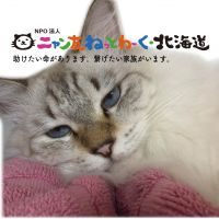 ニャン友ねっとわーく北海道 会員画像