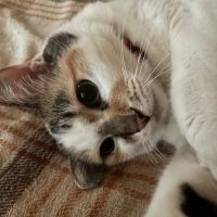 たまりんりんさん