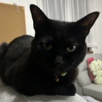 とび丸 会員画像