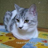 よっしー 会員画像