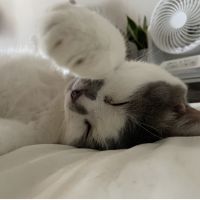 くーたろう。 会員画像