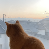 なんてん 会員画像