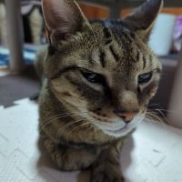 こじゅう 会員画像