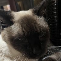 ちろる328 会員画像