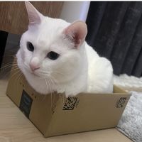かいとぉさん
