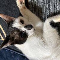 かづ（｡･ω･｡）さん