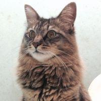 キオクベル 会員画像