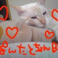 くじら 会員画像