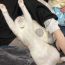 ユーザ画像