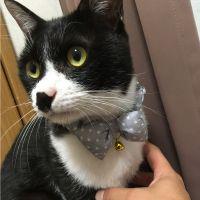 きむ兄 会員画像