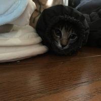 ももちー 会員画像