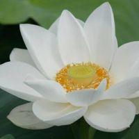 なんと 会員画像