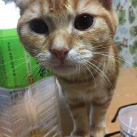 会員画像