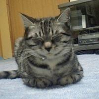 チャペル 会員画像