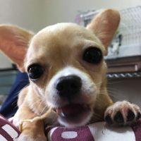 会員画像