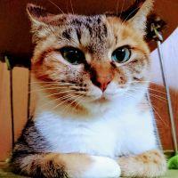 まつざわ 会員画像