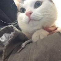 会員画像