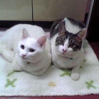 会員画像
