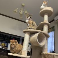 会員画像