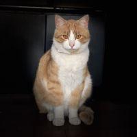 まめとこはる 会員画像