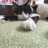 MIKKO52 会員画像