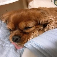 猫嶋さん 会員画像