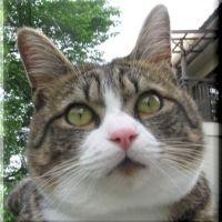 パン君 会員画像