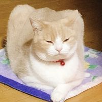 会員画像