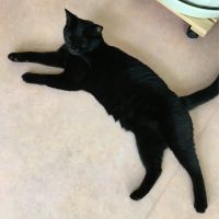 プラネット 会員画像