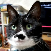 ヒカタ 会員画像