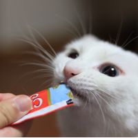 廉ちゃんママ 会員画像