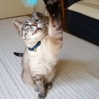 postgirl 会員画像