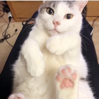 ウィンディさん