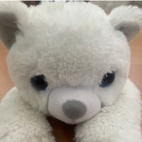 しろふわ 会員画像