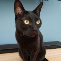 まいころり 会員画像