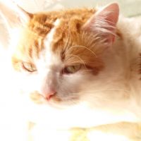 モン太郎くん 会員画像