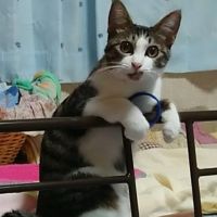 会員画像