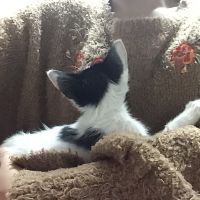 アカネ1103 会員画像