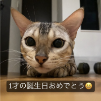 リノレチェ 会員画像