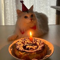 こむぎんた 会員画像