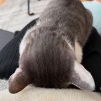 さっちさんさん